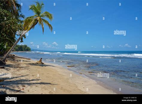 playa chiquita|Playa Chiquita Limon: Costa Rica’s Pristine Caribbean。